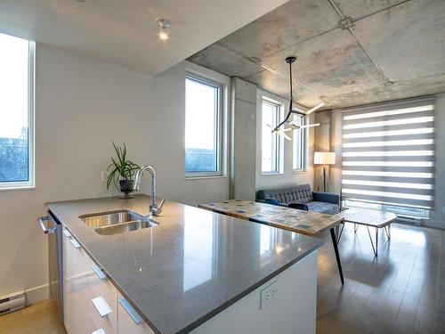 Living room - 1101-888 Rue Wellington, Montréal (Ville-Marie), QC - Indoor Photo Showing Kitchen With Double Sink