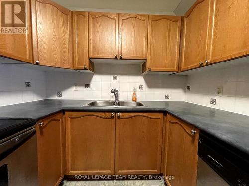 B - 139 Oldfield Street, Ottawa, ON - Indoor Photo Showing Kitchen With Double Sink