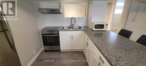 546 Colborne Street, London, ON - Indoor Photo Showing Kitchen With Double Sink