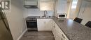 546 Colborne Street, London, ON  - Indoor Photo Showing Kitchen With Double Sink 