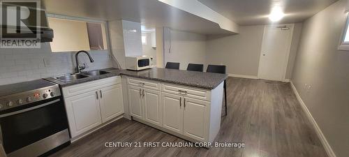 546 Colborne Street, London, ON - Indoor Photo Showing Kitchen With Double Sink