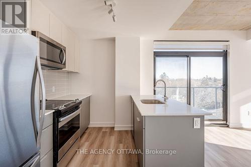 604 - 820 Archibald Street, Ottawa, ON - Indoor Photo Showing Kitchen With Upgraded Kitchen