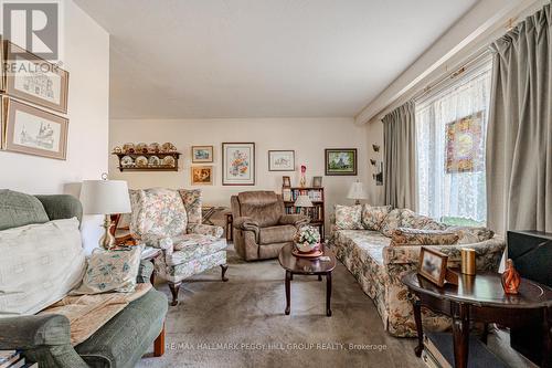 293 Duckworth Street, Barrie, ON - Indoor Photo Showing Living Room