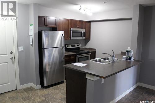 205 308 Petterson Drive, Estevan, SK - Indoor Photo Showing Kitchen With Double Sink