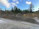 1745 Thain Rd, Cobble Hill, BC 