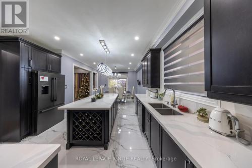 123 Alexander Lawrie Avenue, Markham, ON - Indoor Photo Showing Kitchen With Double Sink With Upgraded Kitchen