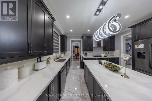 123 Alexander Lawrie Avenue, Markham, ON - Indoor Photo Showing Kitchen With Double Sink With Upgraded Kitchen