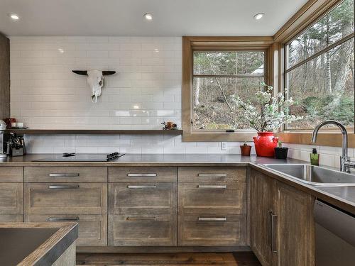 Cuisine - 397 Ch. Des Verdier, Saint-Adolphe-D'Howard, QC - Indoor Photo Showing Kitchen