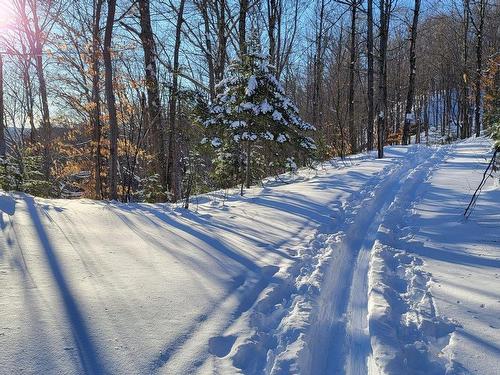 Autre - 397 Ch. Des Verdier, Saint-Adolphe-D'Howard, QC - Outdoor With View