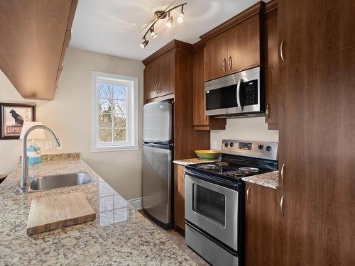 Kitchen - 203-37 Mtée Victor-Nymark, Saint-Sauveur, QC - Indoor Photo Showing Kitchen