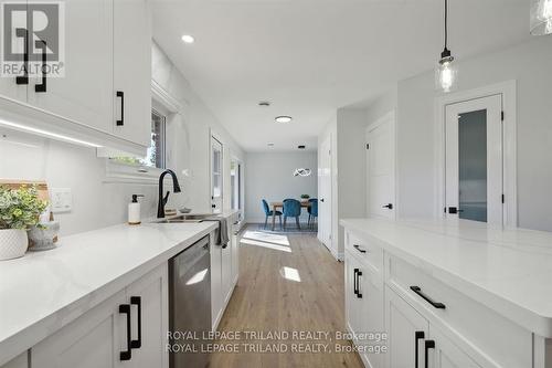 57 Sunray Avenue, London, ON - Indoor Photo Showing Kitchen With Double Sink With Upgraded Kitchen