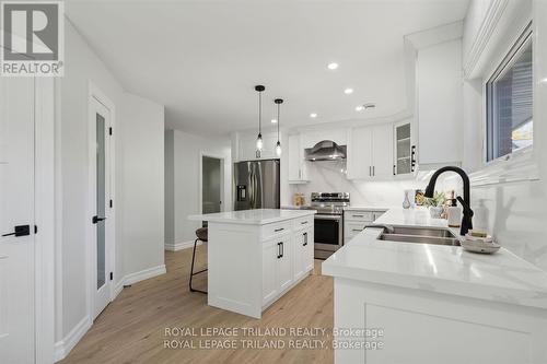 57 Sunray Avenue, London, ON - Indoor Photo Showing Kitchen With Double Sink With Upgraded Kitchen