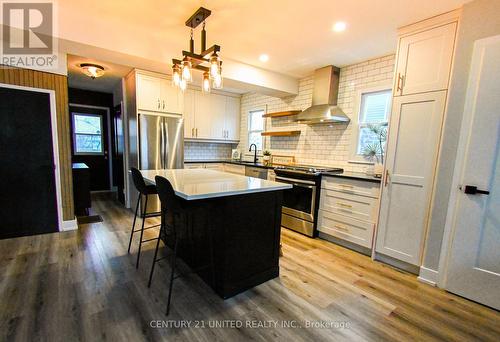 341 Welsh Street, Peterborough (Ashburnham), ON - Indoor Photo Showing Kitchen With Upgraded Kitchen