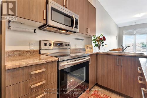 221B - 85 Morrell Street, Brantford, ON - Indoor Photo Showing Kitchen With Double Sink