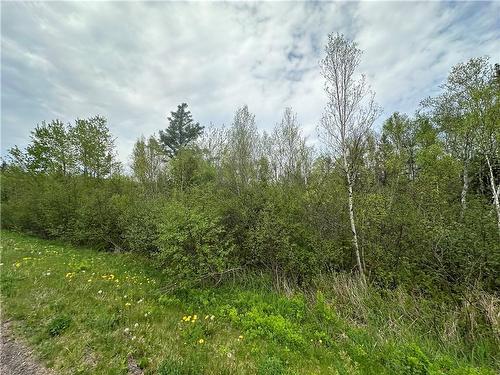 Lot Raymel Rd, Grand-Barachois, NB 