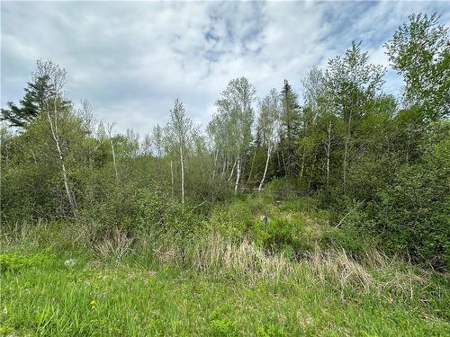 Lot Raymel Rd, Grand-Barachois, NB 