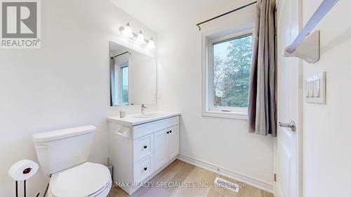 133 Mullin Street, Grey Highlands, ON - Indoor Photo Showing Bathroom