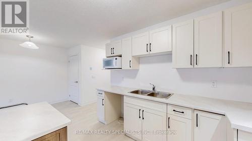 133 Mullin Street, Grey Highlands, ON - Indoor Photo Showing Kitchen With Double Sink