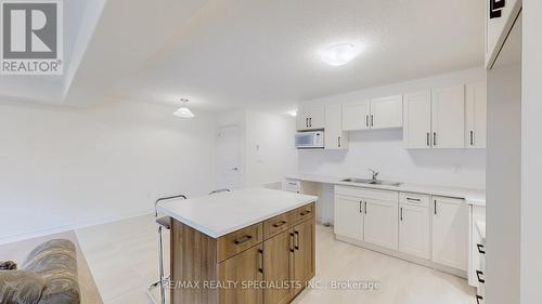 133 Mullin Street, Grey Highlands, ON - Indoor Photo Showing Kitchen With Double Sink