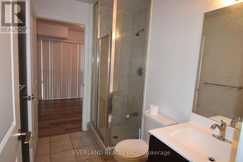 315 - 275 Yorkland Road, Toronto, ON - Indoor Photo Showing Bathroom