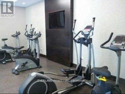 315 - 275 Yorkland Road, Toronto, ON - Indoor Photo Showing Gym Room