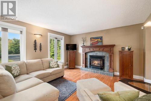 12390 Ormond Road, North Dundas, ON - Indoor Photo Showing Living Room With Fireplace