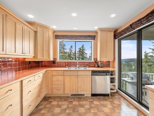 3-687 Castle Crag Cres, Courtenay, BC - Indoor Photo Showing Kitchen With Double Sink