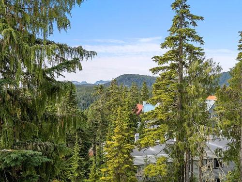 3-687 Castle Crag Cres, Courtenay, BC - Outdoor With View