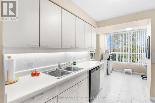 303 - 5100 Dorchester Road, Niagara Falls (212 - Morrison), ON - Indoor Photo Showing Kitchen With Double Sink