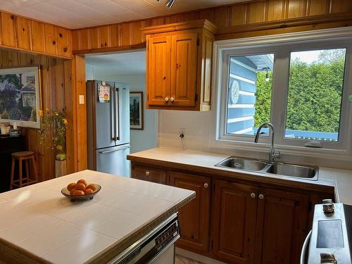 Cuisine - 1381 Rue Dumouchel, Sainte-Adèle, QC - Indoor Photo Showing Kitchen With Double Sink