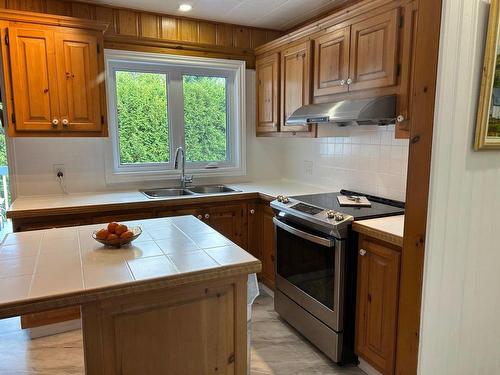 Cuisine - 1381 Rue Dumouchel, Sainte-Adèle, QC - Indoor Photo Showing Kitchen With Double Sink