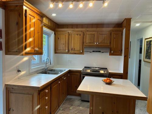 Cuisine - 1381 Rue Dumouchel, Sainte-Adèle, QC - Indoor Photo Showing Kitchen With Double Sink