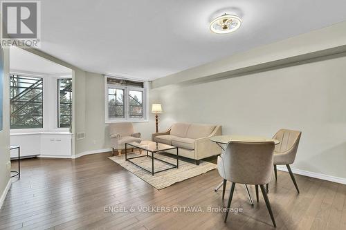 313 - 1025 Grenon Avenue, Ottawa, ON - Indoor Photo Showing Living Room