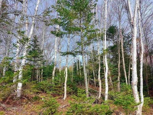 Lot 3 Tranquil Shore Road, West Bay, NS 