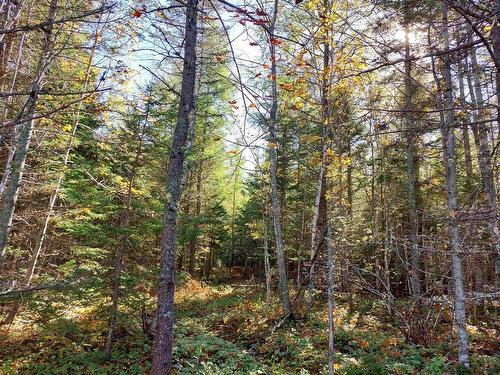 Lot 3 Tranquil Shore Road, West Bay, NS 