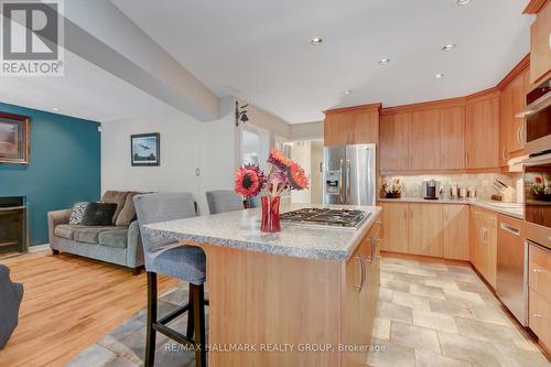 87 Moresby Drive, Ottawa, ON - Indoor Photo Showing Kitchen With Upgraded Kitchen