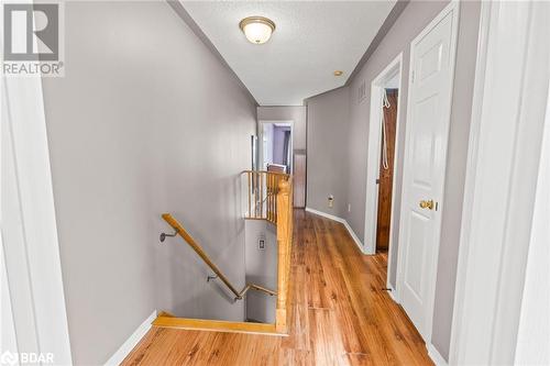 Hallway featuring a textured ceiling and light hardwood / wood-style floors - 17 Emslie Street, Halton, ON - Indoor Photo Showing Other Room