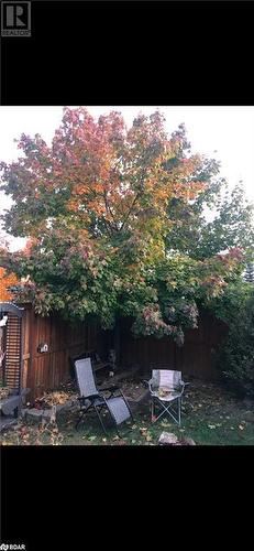 View of yard - 17 Emslie Street, Halton, ON - Outdoor