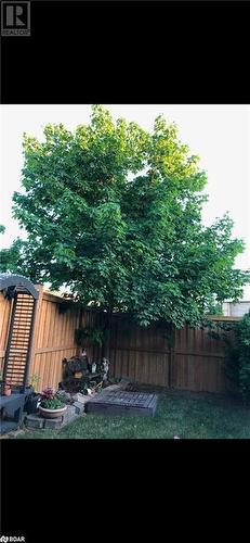 View of yard - 17 Emslie Street, Halton, ON - Outdoor