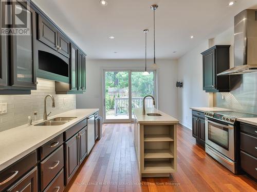 Main - 149 Robert Street, Toronto, ON - Indoor Photo Showing Kitchen With Double Sink With Upgraded Kitchen