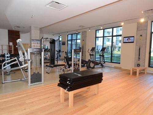 Exercise room - 418-111 Ch. De La Pointe-Nord, Montréal (Verdun/Île-Des-Soeurs), QC - Indoor Photo Showing Gym Room