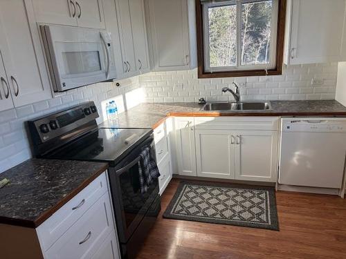 295 Cowan Street, Thunder Bay, ON - Indoor Photo Showing Kitchen With Double Sink