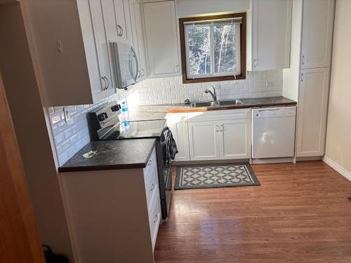 295 Cowan Street, Thunder Bay, ON - Indoor Photo Showing Kitchen With Double Sink