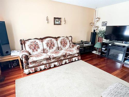 30 Seventh Street, Balmertown, ON - Indoor Photo Showing Living Room