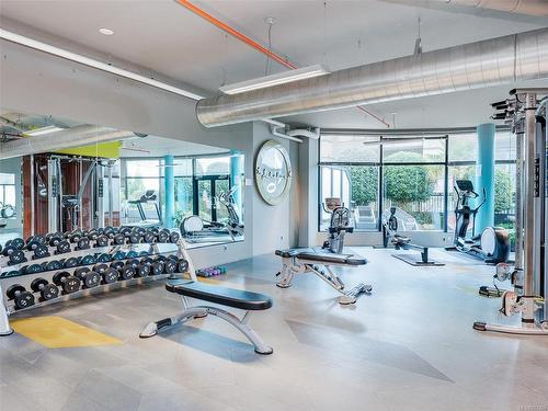 530-1029 View St, Victoria, BC - Indoor Photo Showing Gym Room