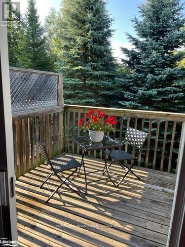 4 Royalton Lane, Collingwood, ON - Outdoor With Deck Patio Veranda