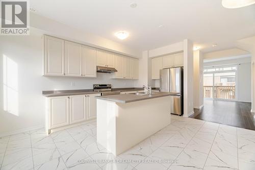 227 Gillespie Drive, Brantford, ON - Indoor Photo Showing Kitchen With Stainless Steel Kitchen