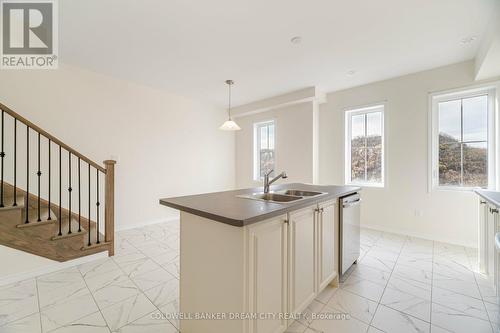 227 Gillespie Drive, Brantford, ON - Indoor Photo Showing Kitchen With Double Sink