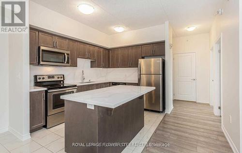 313 - 640 Sauve Street, Milton, ON - Indoor Photo Showing Kitchen