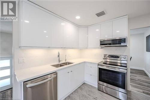 201 Erinbrook Drive, Kitchener, ON - Indoor Photo Showing Kitchen With Double Sink With Upgraded Kitchen